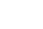 Houssam Shaltout